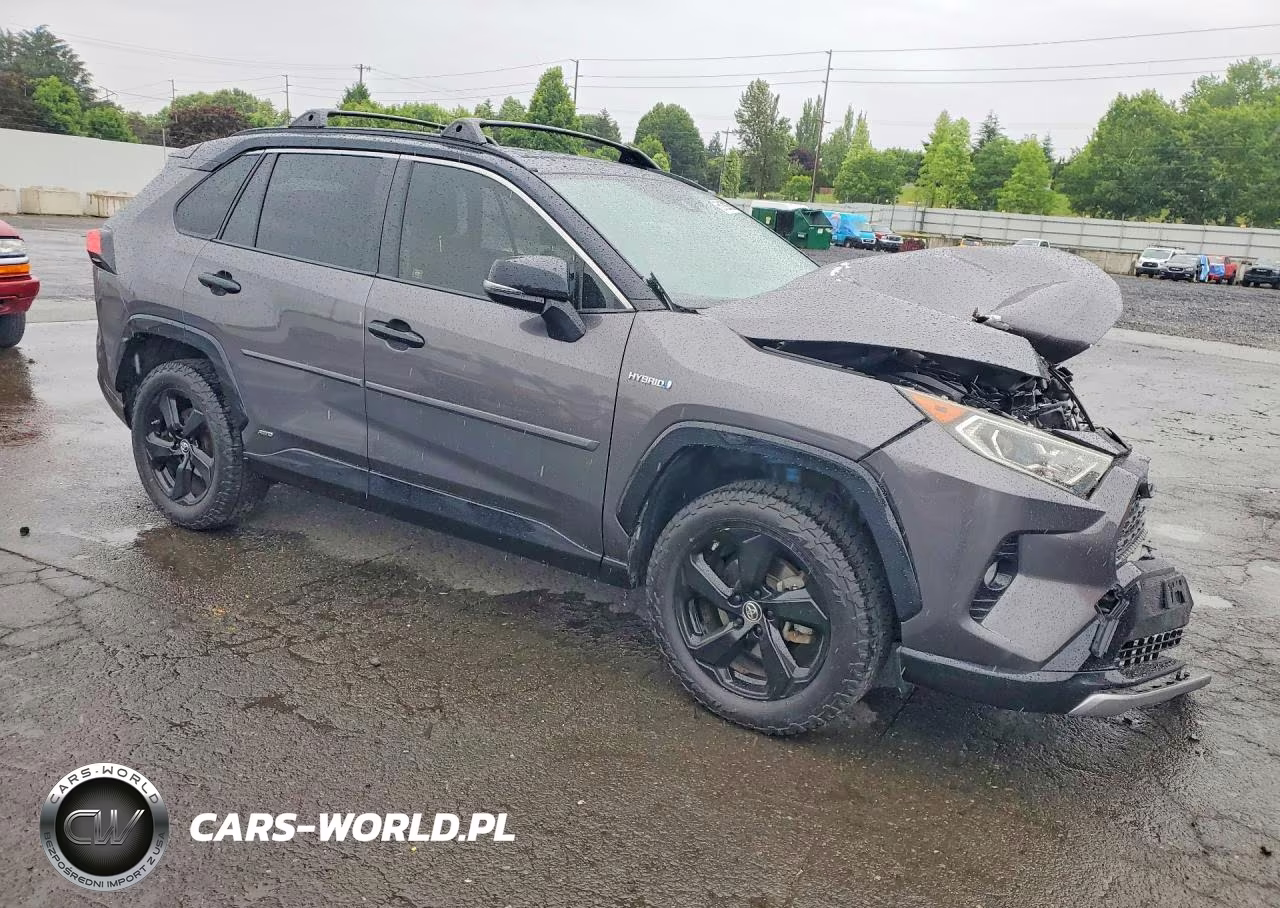 2019 Toyota Rav4 Xse VIN:JTMEWRFV2KJ007721 - 4