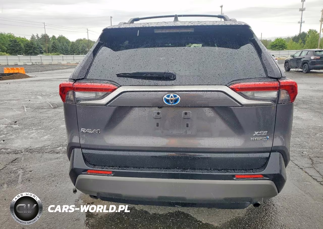2019 Toyota Rav4 Xse VIN:JTMEWRFV2KJ007721 - 6