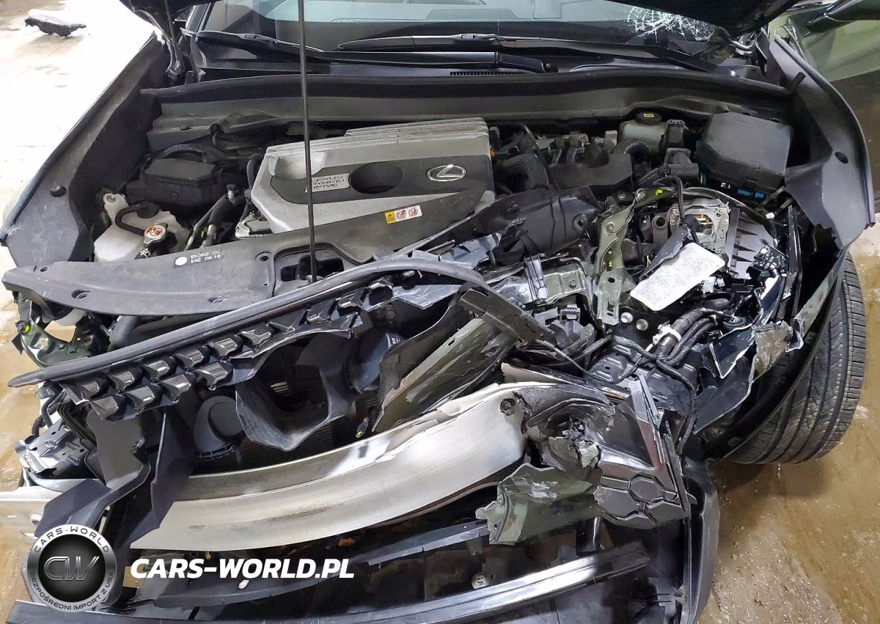 2021 Lexus Ux 250H VIN:JTHP9JBH5M2040211 - 12