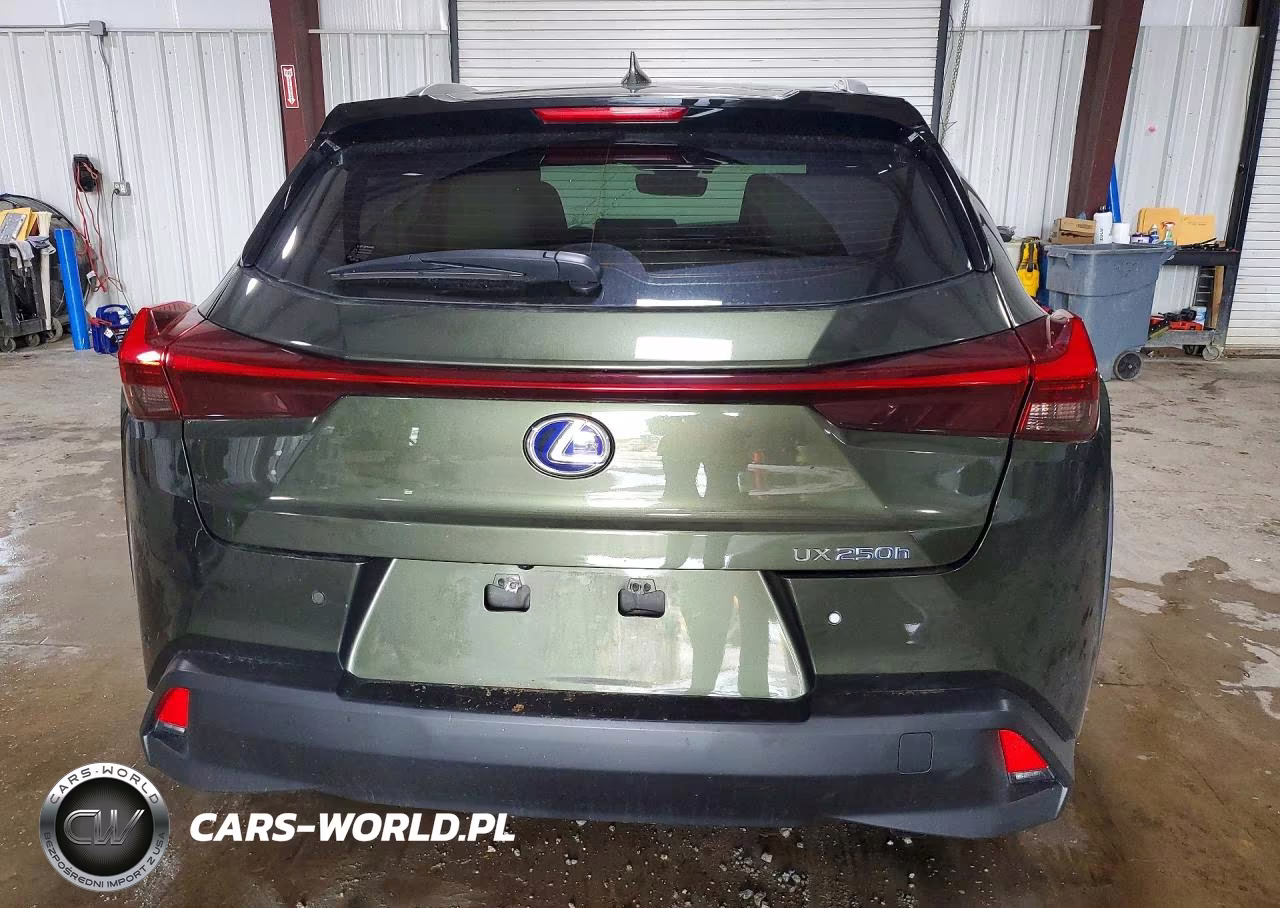 2021 Lexus Ux 250H VIN:JTHP9JBH5M2040211 - 6