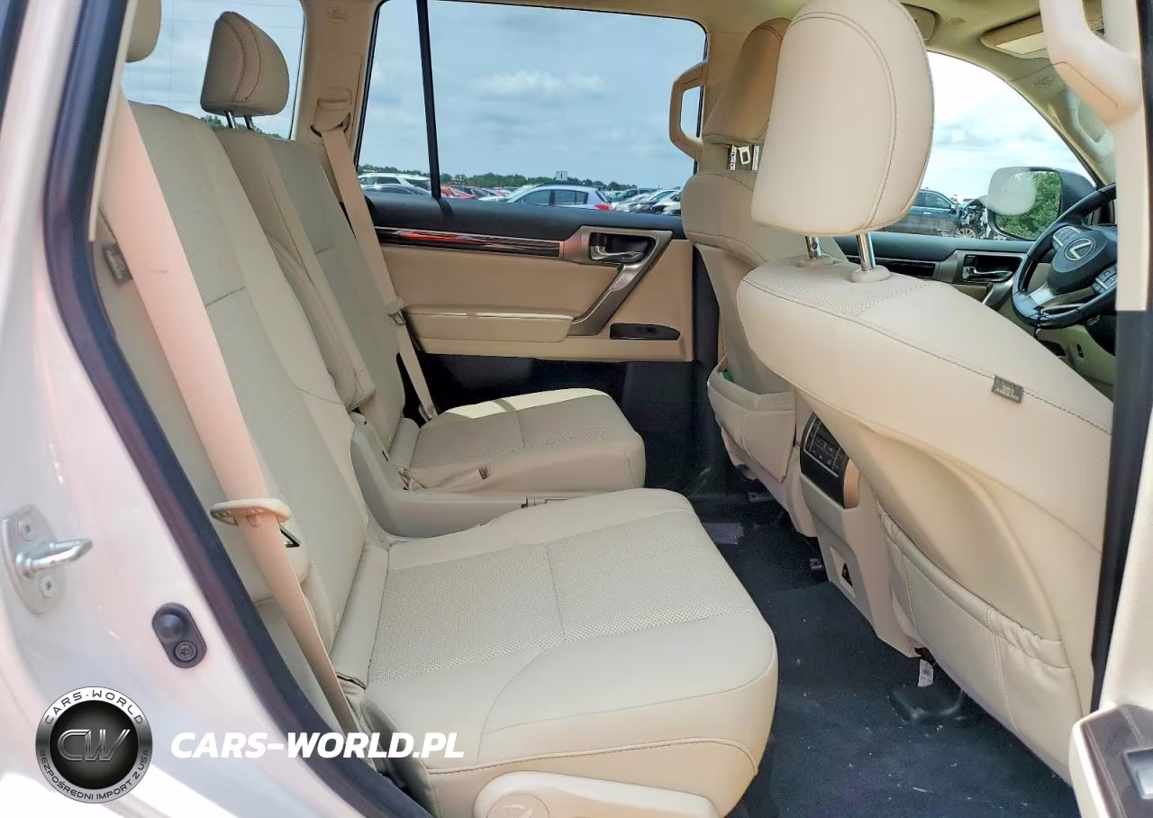 2020 Lexus Gx 460 Premium VIN:JTJAM7BX6L5253033 - 11