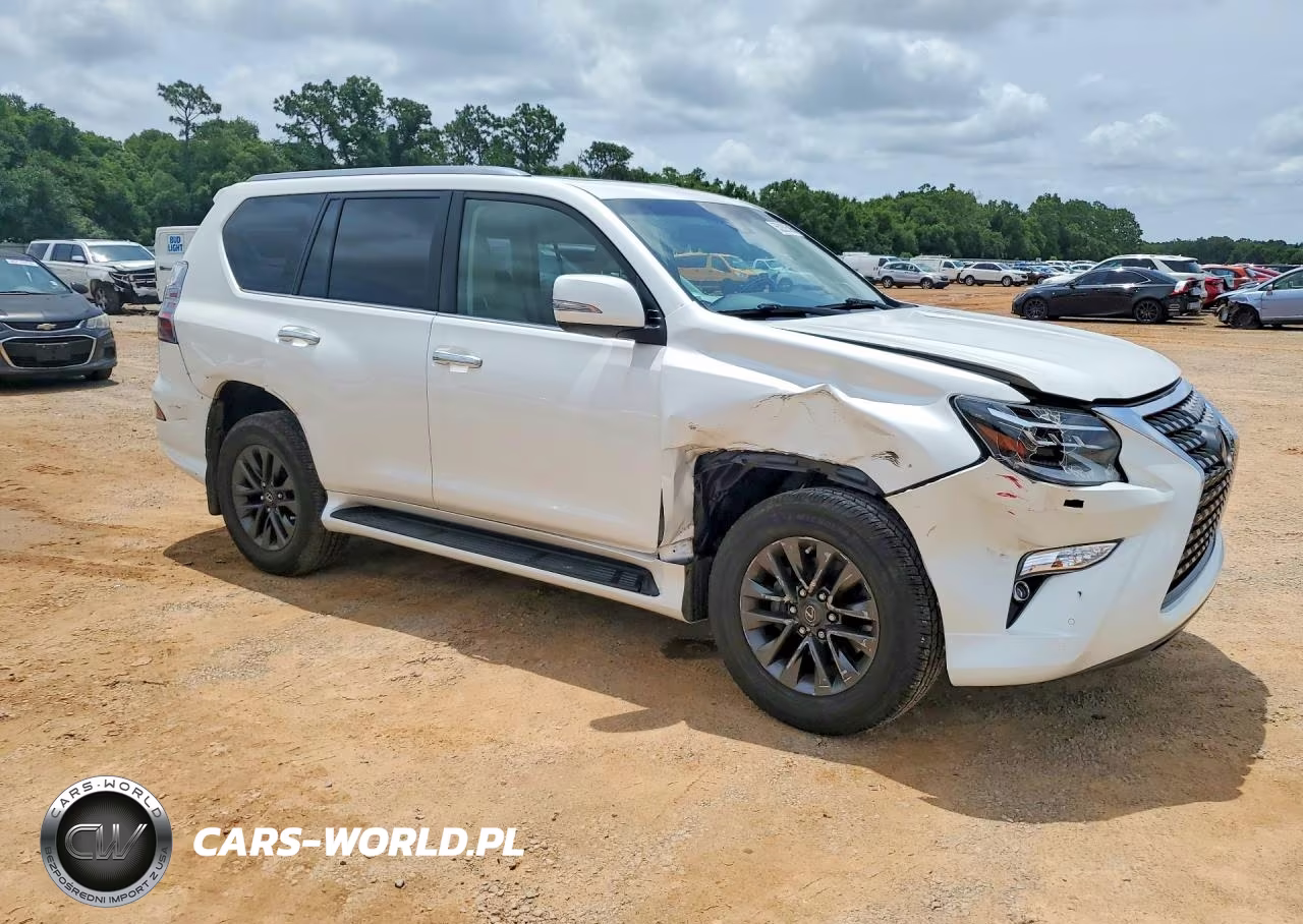 2020 Lexus Gx 460 Premium VIN:JTJAM7BX6L5253033 - 4