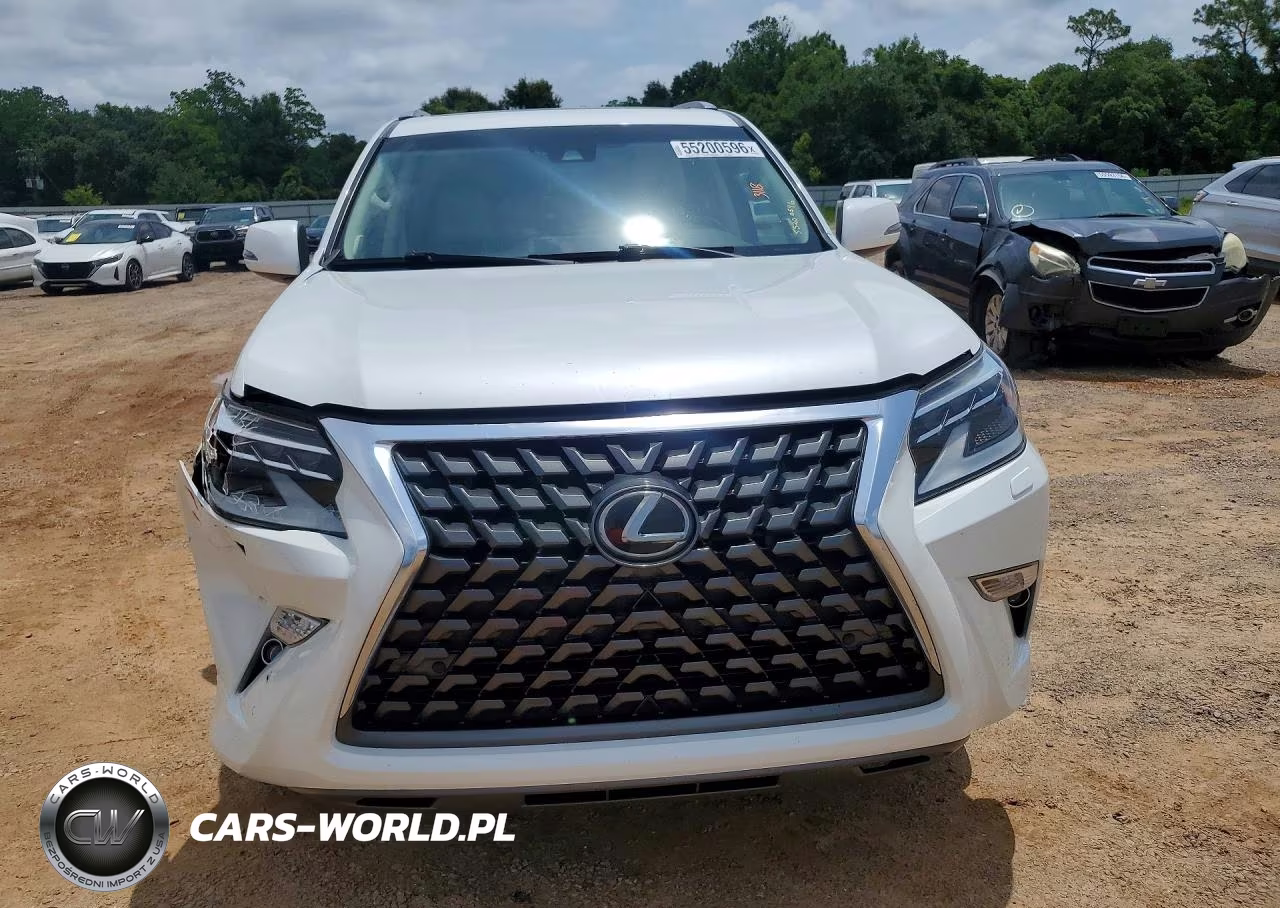 2020 Lexus Gx 460 Premium VIN:JTJAM7BX6L5253033 - 5