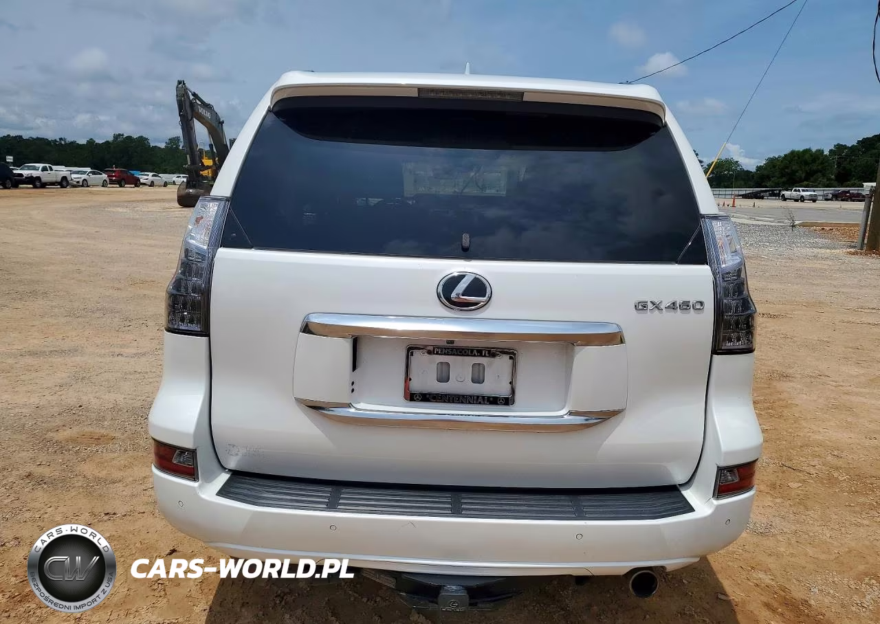2020 Lexus Gx 460 Premium VIN:JTJAM7BX6L5253033 - 6