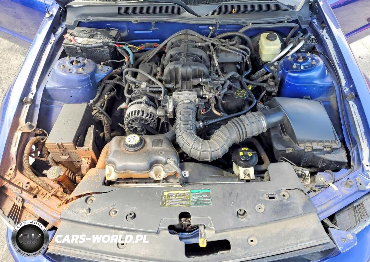 2005 Ford Mustang VIN:1ZVHT84N755256481 - 11