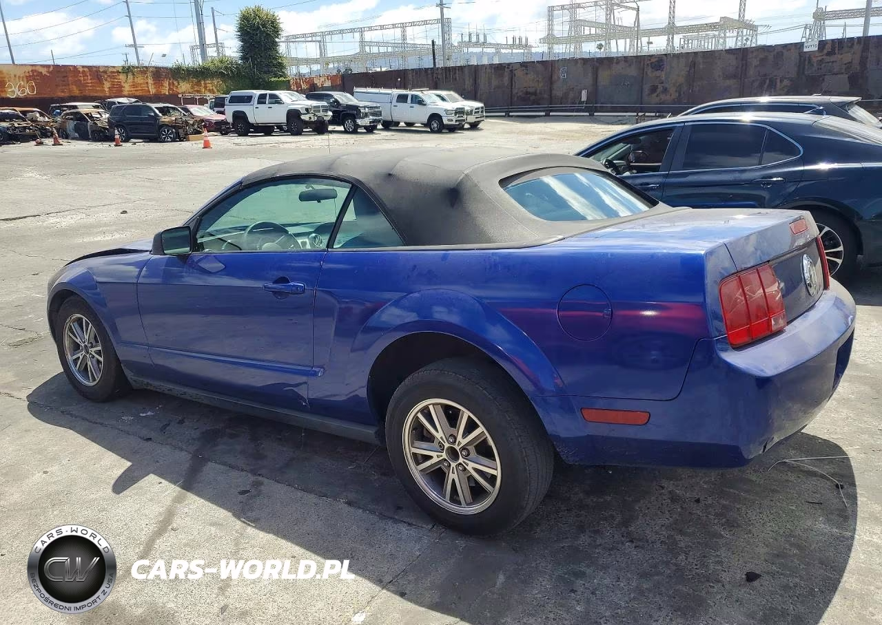2005 Ford Mustang VIN:1ZVHT84N755256481 - 2