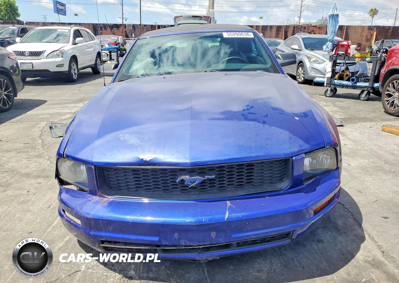 2005 Ford Mustang VIN:1ZVHT84N755256481 - 5
