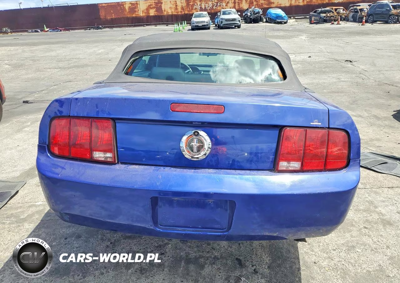 2005 Ford Mustang VIN:1ZVHT84N755256481 - 6