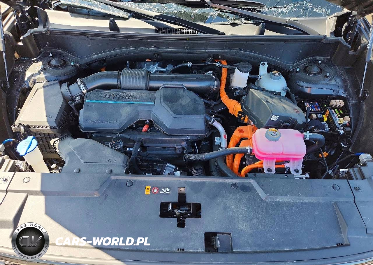 2025 Hyundai Santa Fe Calligraphy VIN:5NMP5DG12SH030898 - 12