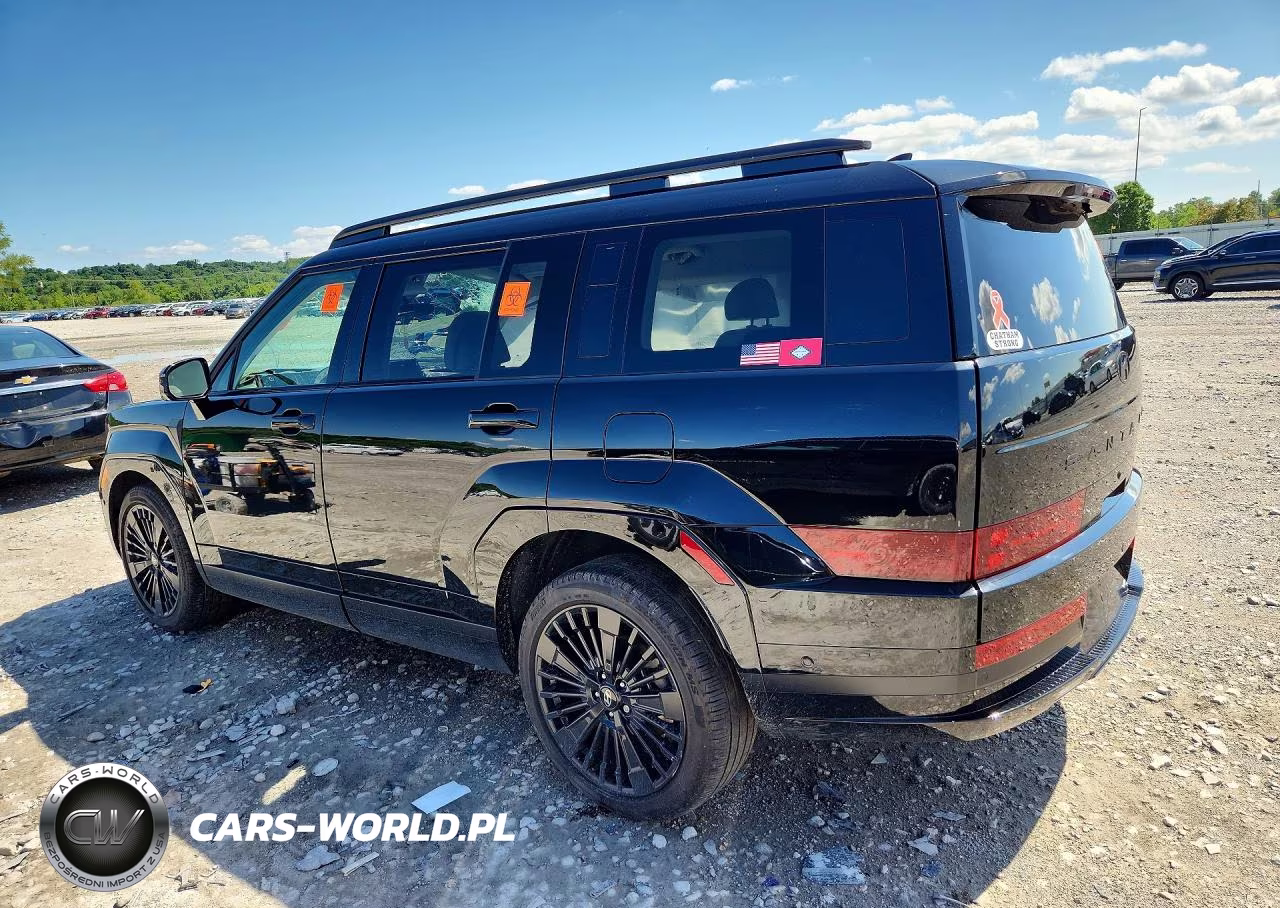 2025 Hyundai Santa Fe Calligraphy VIN:5NMP5DG12SH030898 - 2