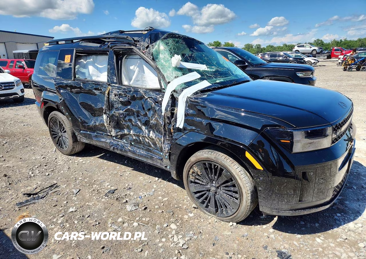 2025 Hyundai Santa Fe Calligraphy VIN:5NMP5DG12SH030898 - 4