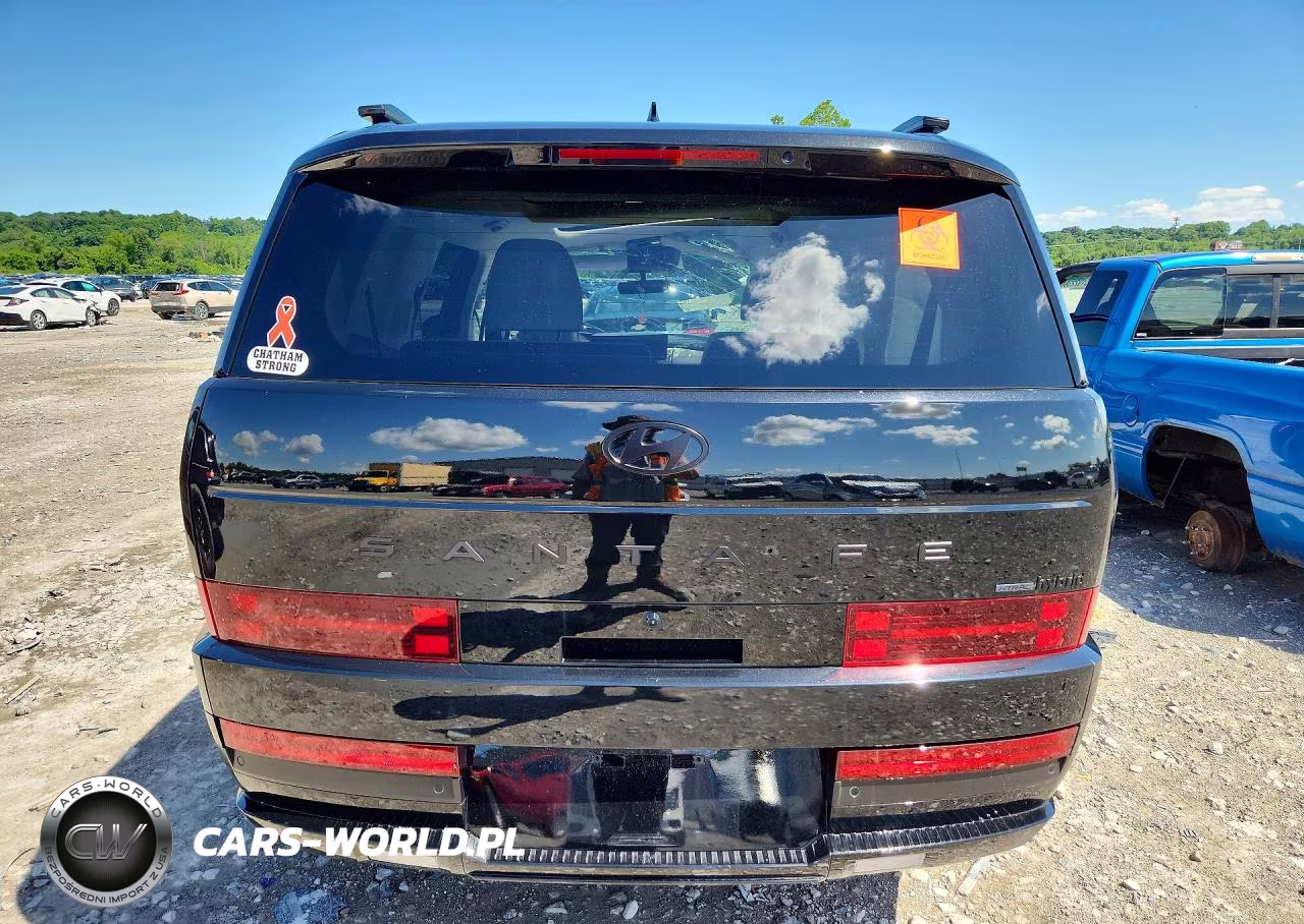 2025 Hyundai Santa Fe Calligraphy VIN:5NMP5DG12SH030898 - 6