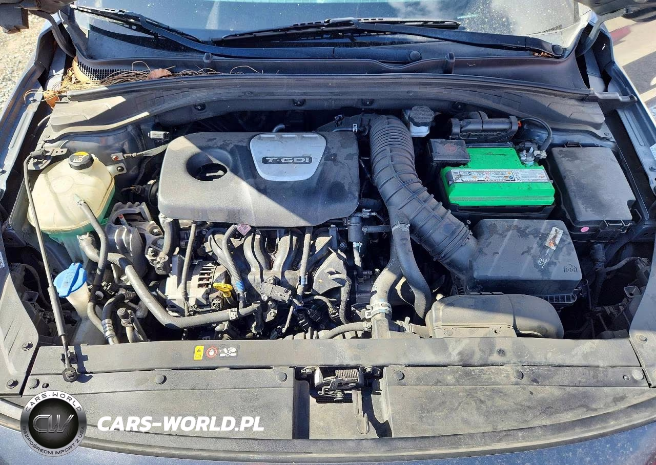 2019 Hyundai Elantra Gt N Line VIN:KMHH55LC7KU118691 - 11
