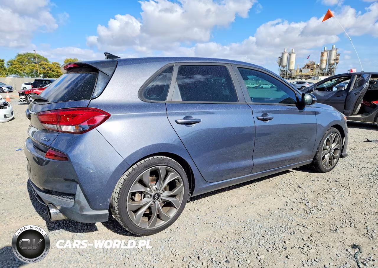 2019 Hyundai Elantra Gt N Line VIN:KMHH55LC7KU118691 - 3