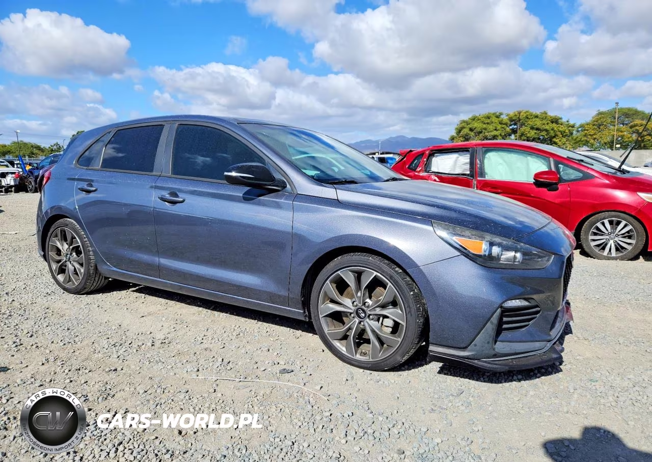 2019 Hyundai Elantra Gt N Line VIN:KMHH55LC7KU118691 - 4