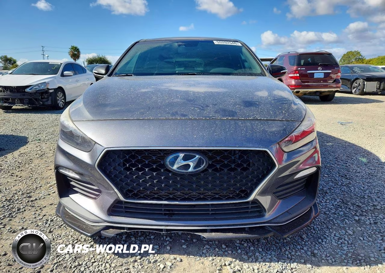 2019 Hyundai Elantra Gt N Line VIN:KMHH55LC7KU118691 - 5