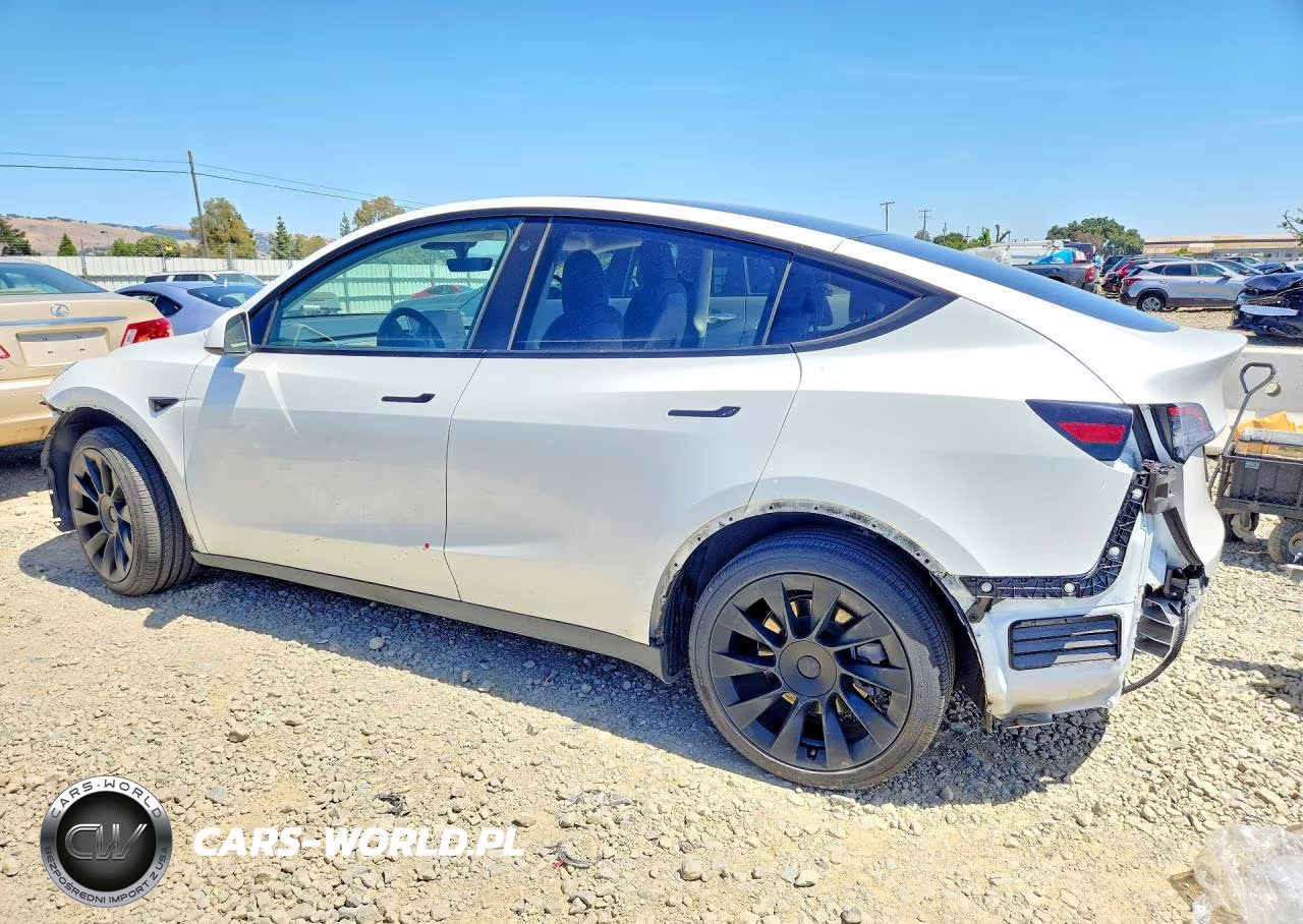 2022 Tesla Model Y VIN:7SAYGDEE1NF364174 - 2