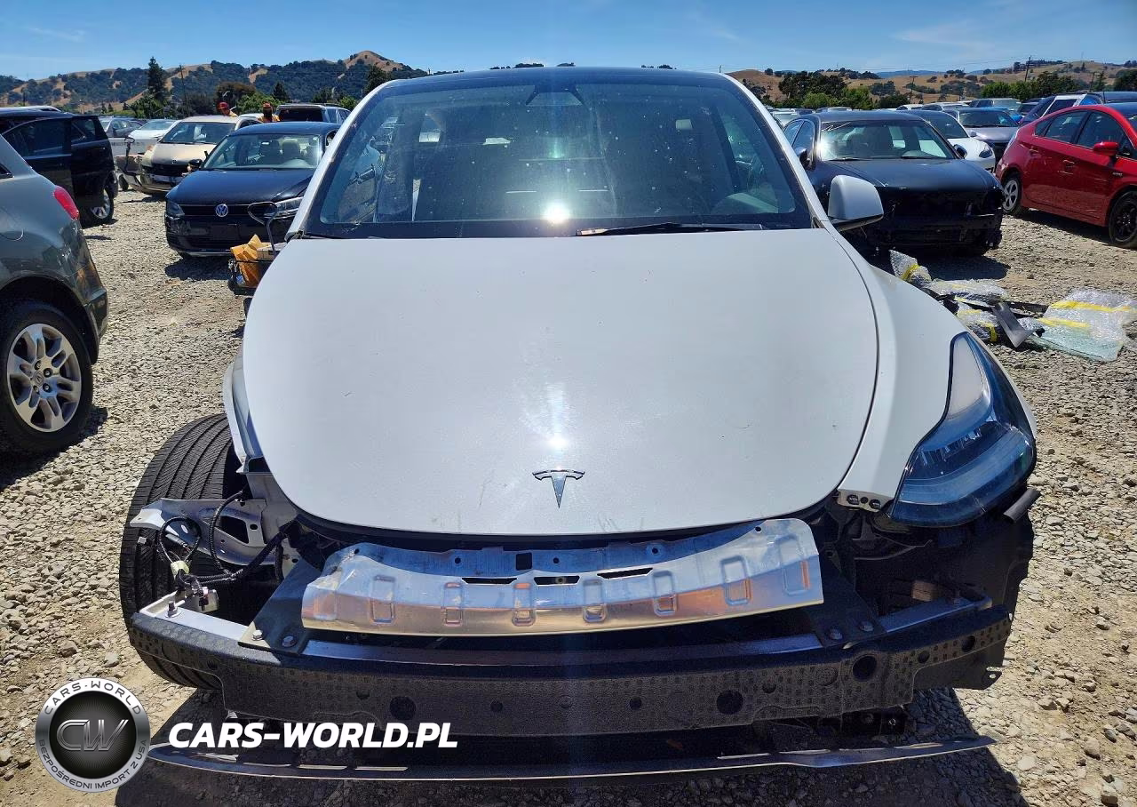 2022 Tesla Model Y VIN:7SAYGDEE1NF364174 - 5