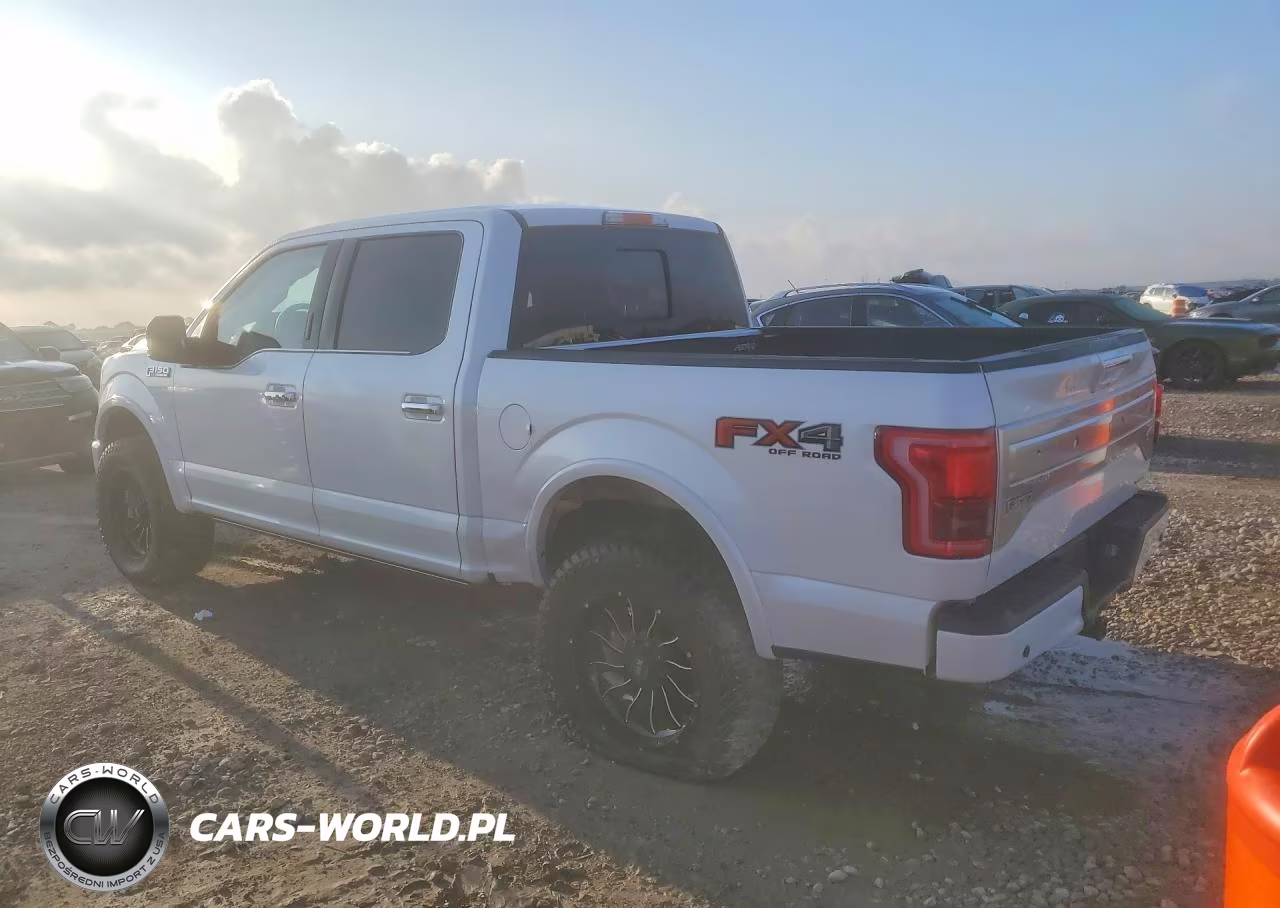 2016 Ford F150 Supercrew VIN:1FTEW1EF3GFD19097 - 2