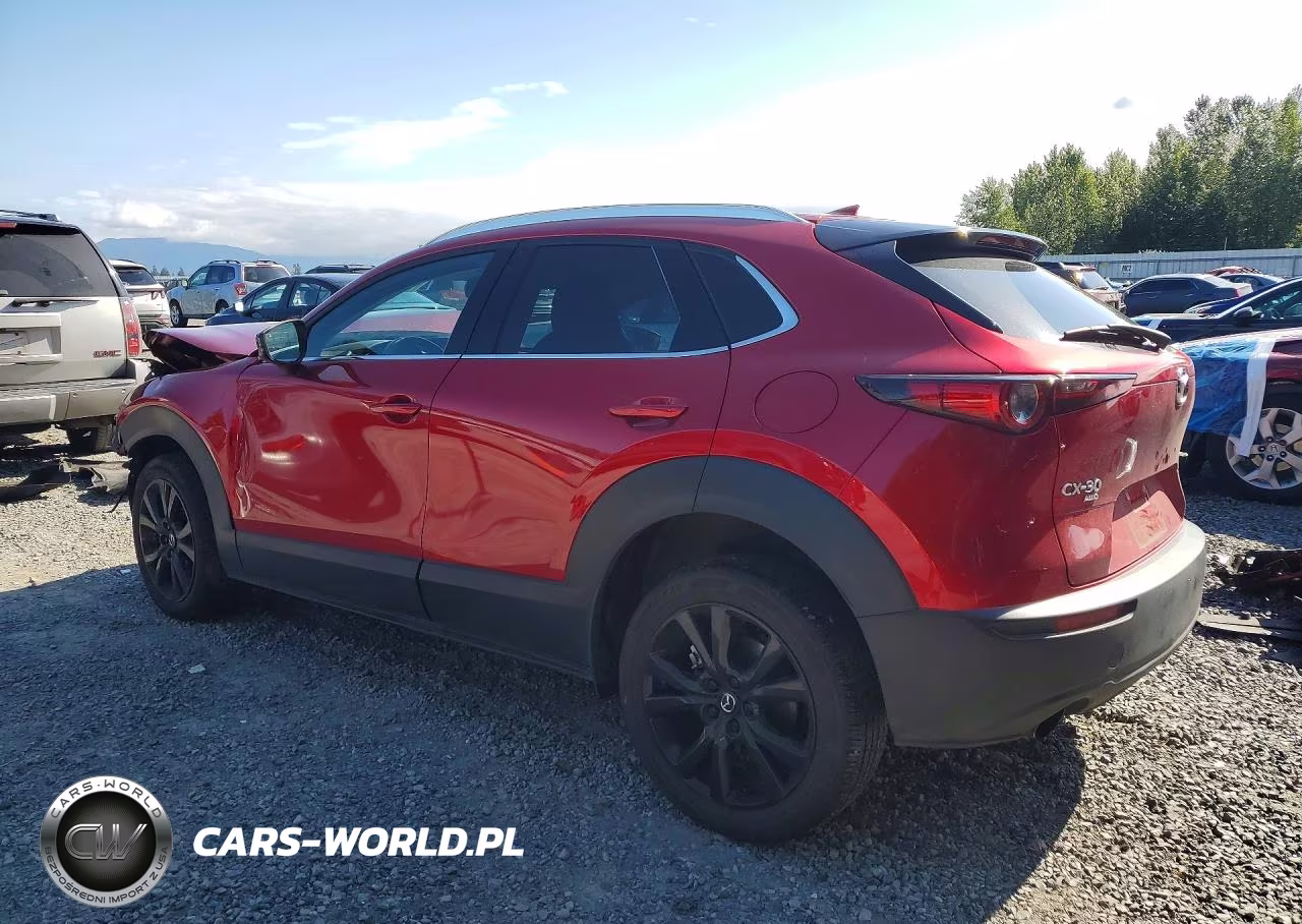 2023 Mazda Cx-30 Premium VIN:3MVDMBDY6PM570141 - 2