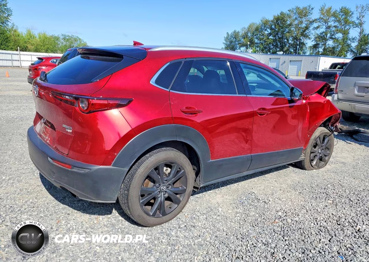 2023 Mazda Cx-30 Premium VIN:3MVDMBDY6PM570141 - 3