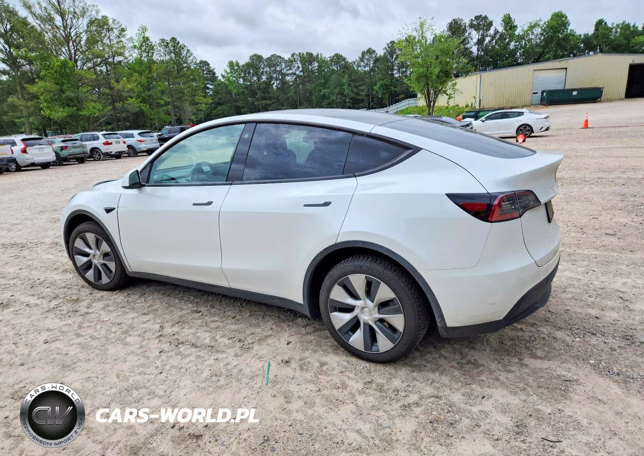 2023 Tesla Model Y VIN:7SAYGDEE4PF613022 - 2