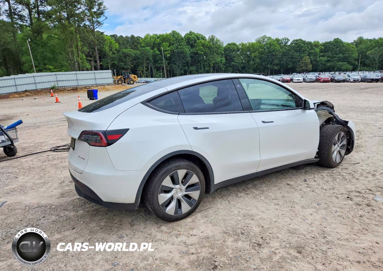 2023 Tesla Model Y VIN:7SAYGDEE4PF613022 - 3