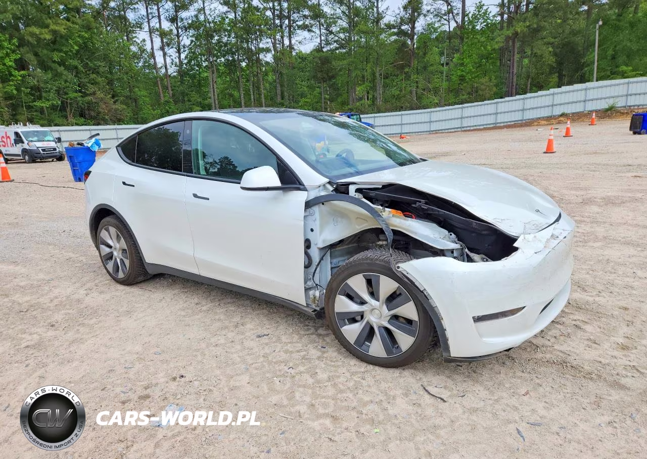 2023 Tesla Model Y VIN:7SAYGDEE4PF613022 - 4