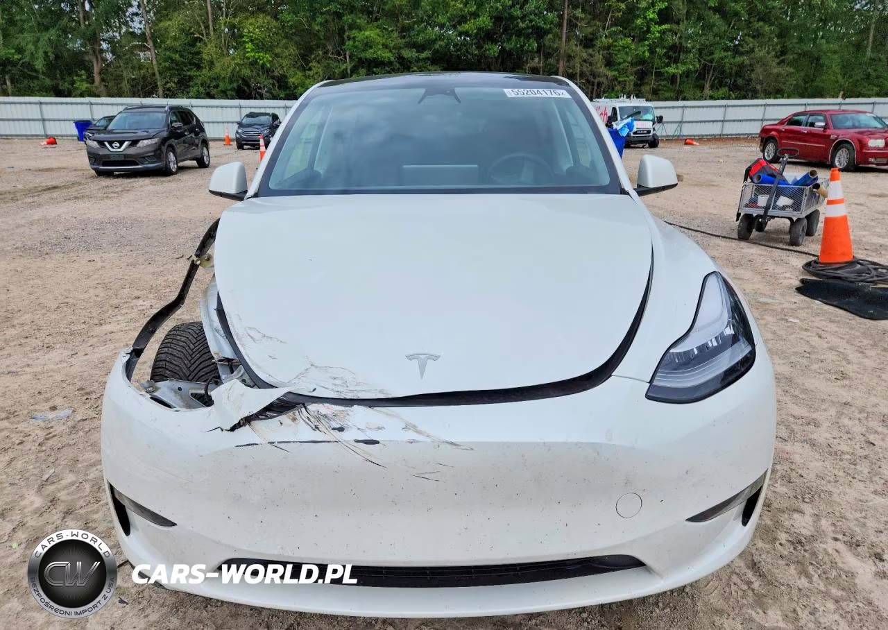 2023 Tesla Model Y VIN:7SAYGDEE4PF613022 - 5