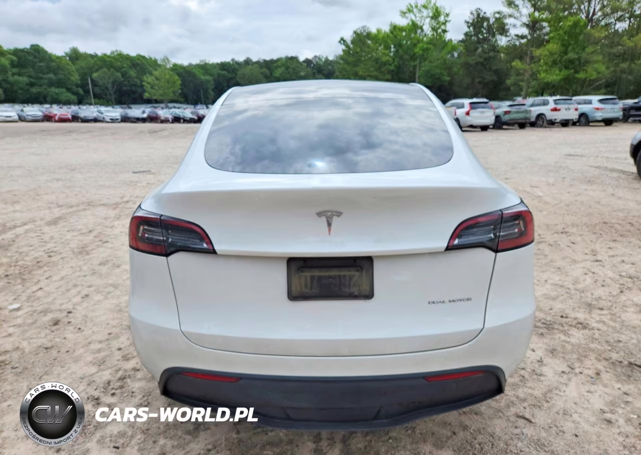 2023 Tesla Model Y VIN:7SAYGDEE4PF613022 - 6