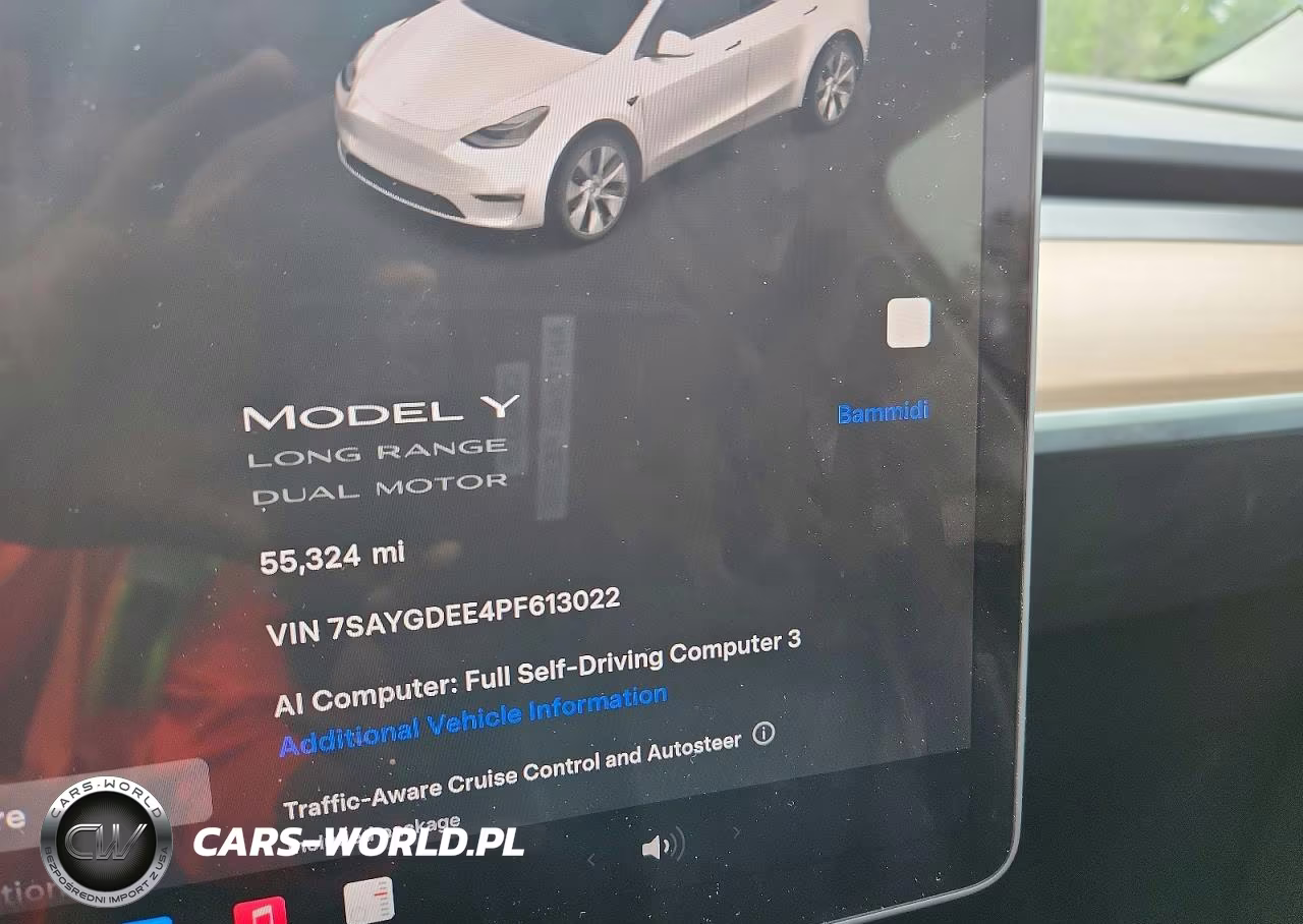 2023 Tesla Model Y VIN:7SAYGDEE4PF613022 - 9