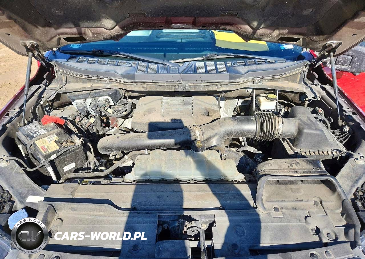 2021 Ford F150 Supercrew VIN:1FTFW1E85MKD15500 - 11