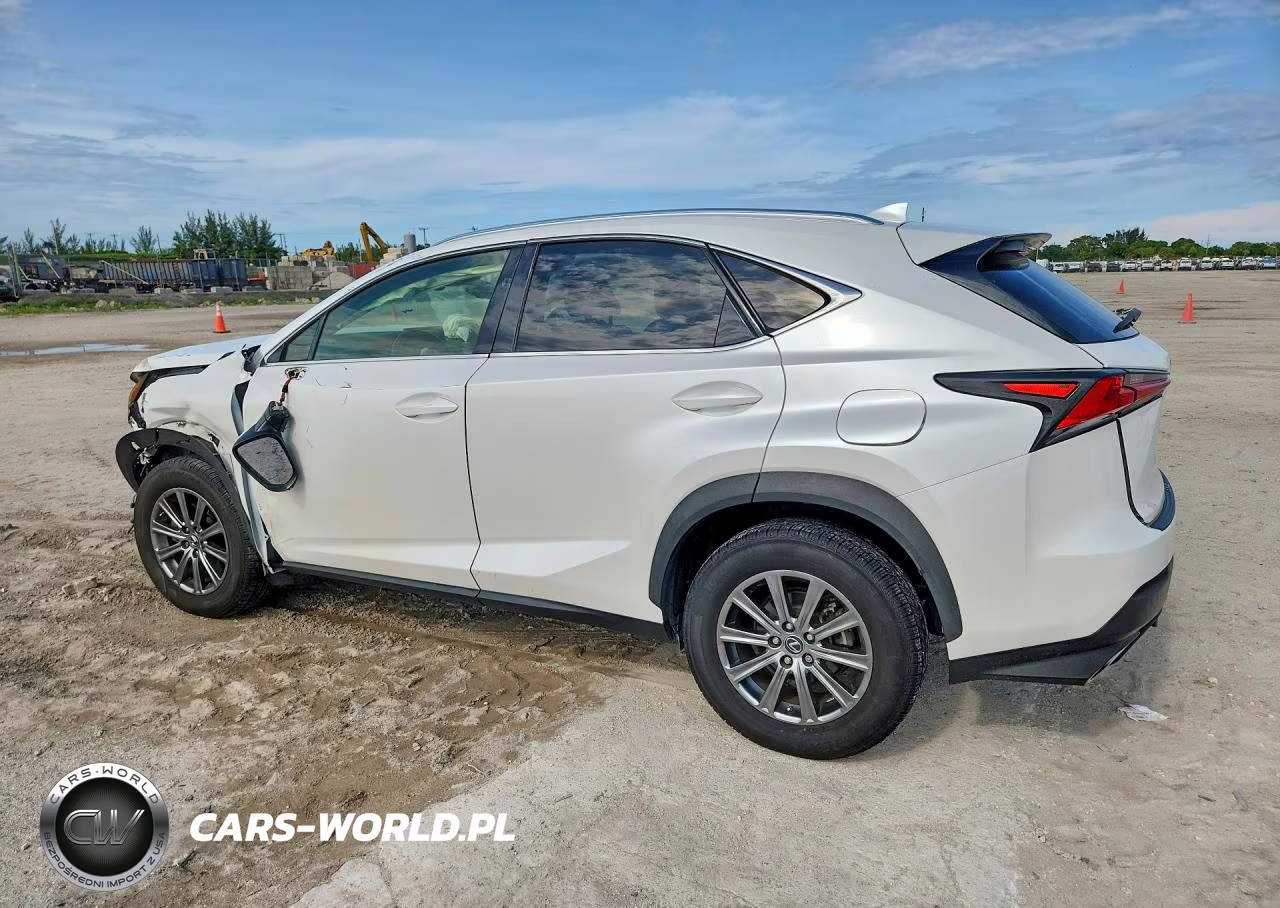 2019 Lexus Nx 300 Base VIN:JTJYARBZ7K2120933 - 2