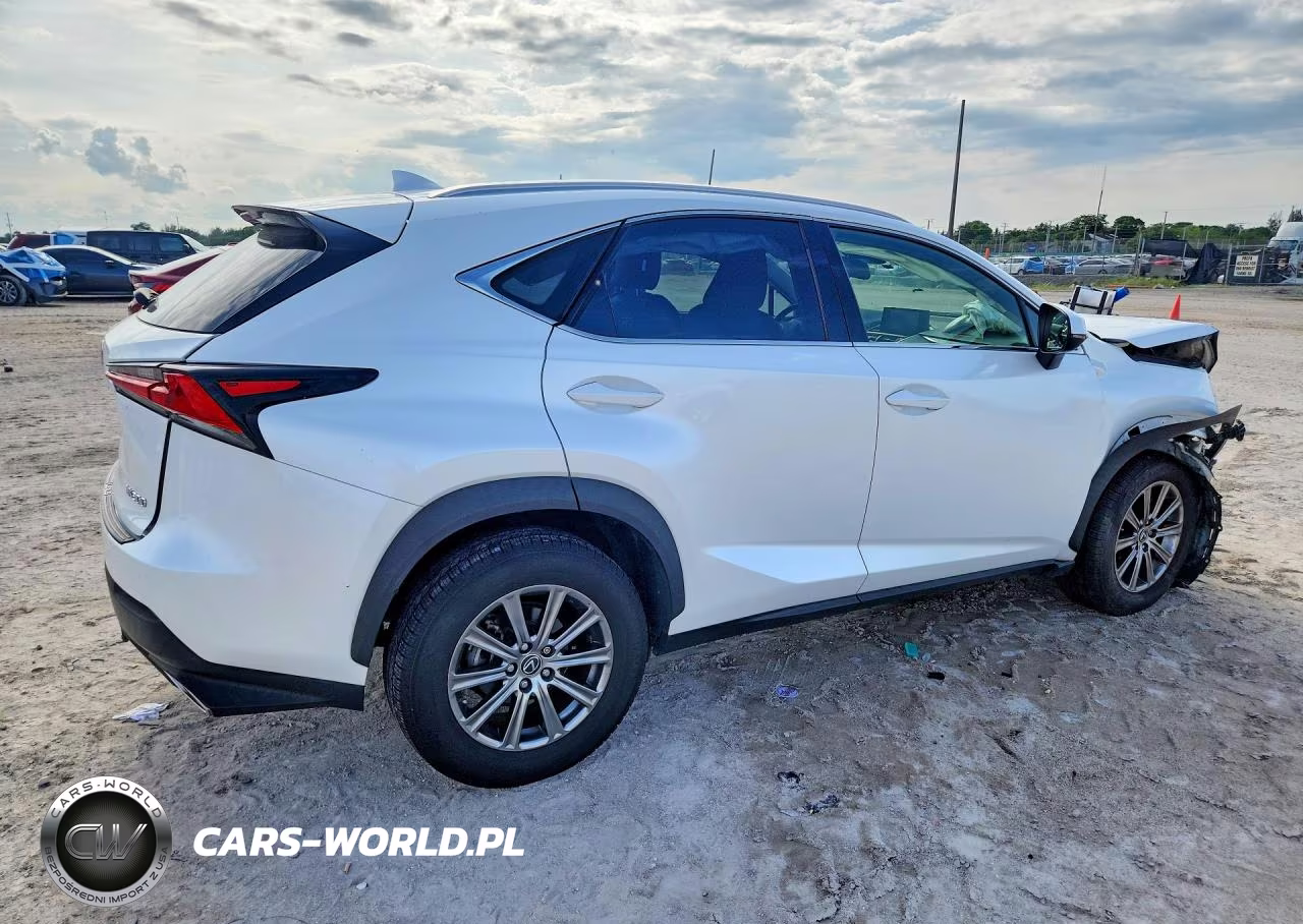2019 Lexus Nx 300 Base VIN:JTJYARBZ7K2120933 - 3