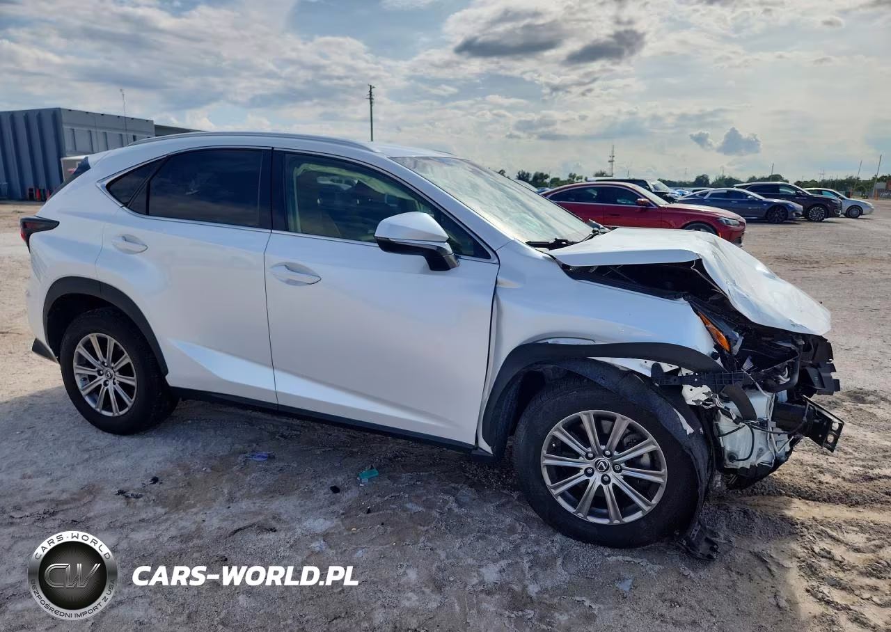 2019 Lexus Nx 300 Base VIN:JTJYARBZ7K2120933 - 4