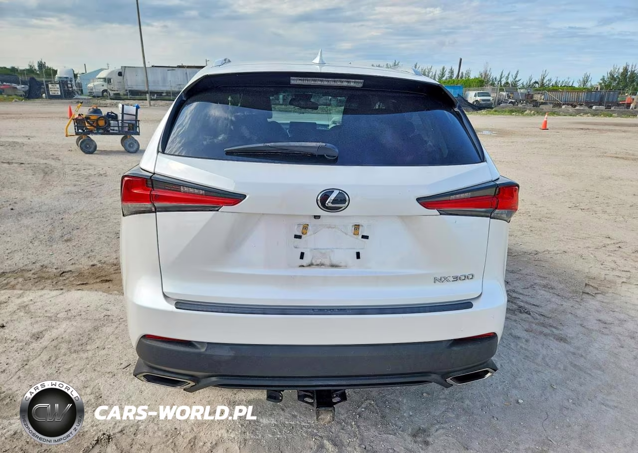 2019 Lexus Nx 300 Base VIN:JTJYARBZ7K2120933 - 6