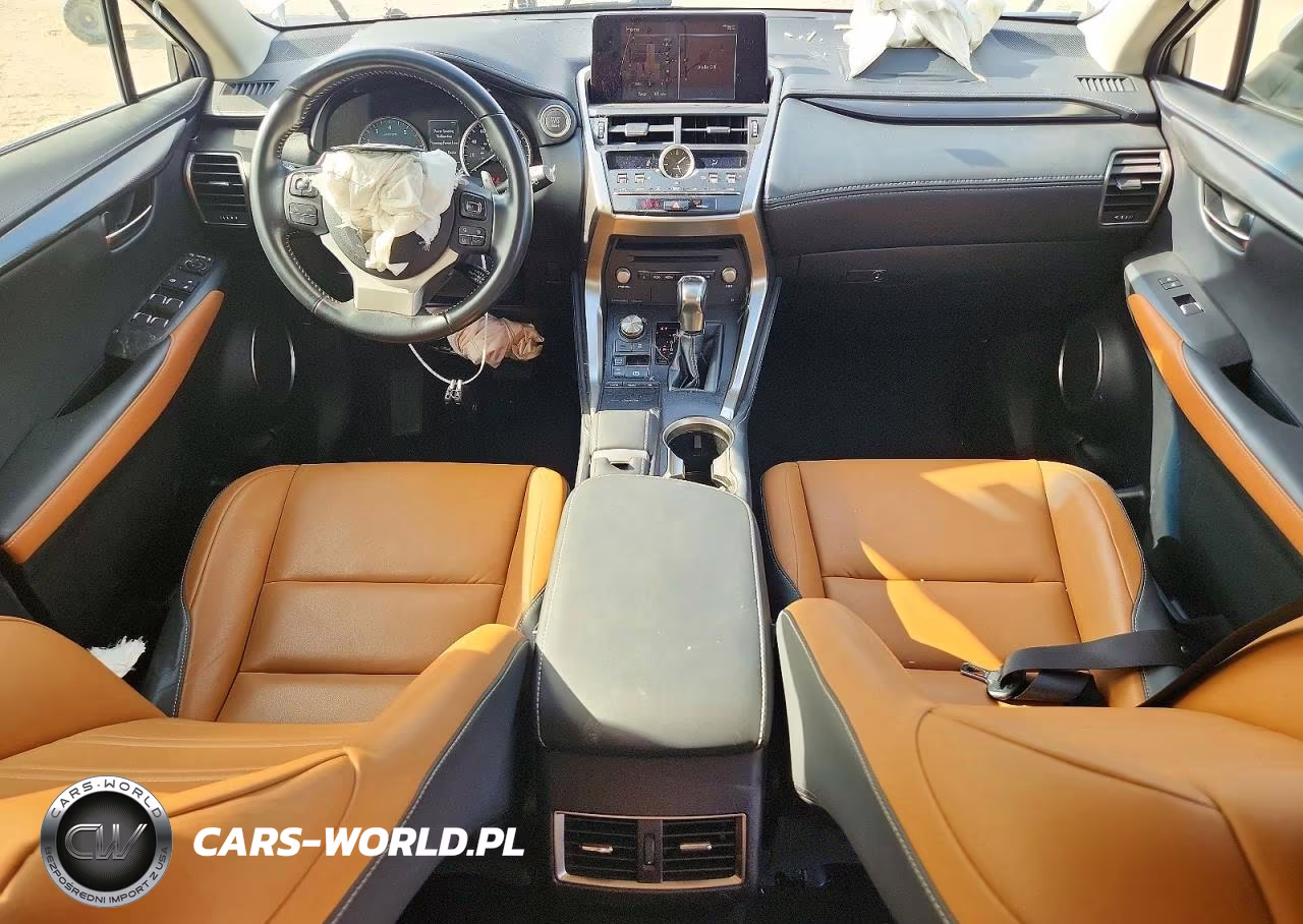 2019 Lexus Nx 300 Base VIN:JTJYARBZ7K2120933 - 8