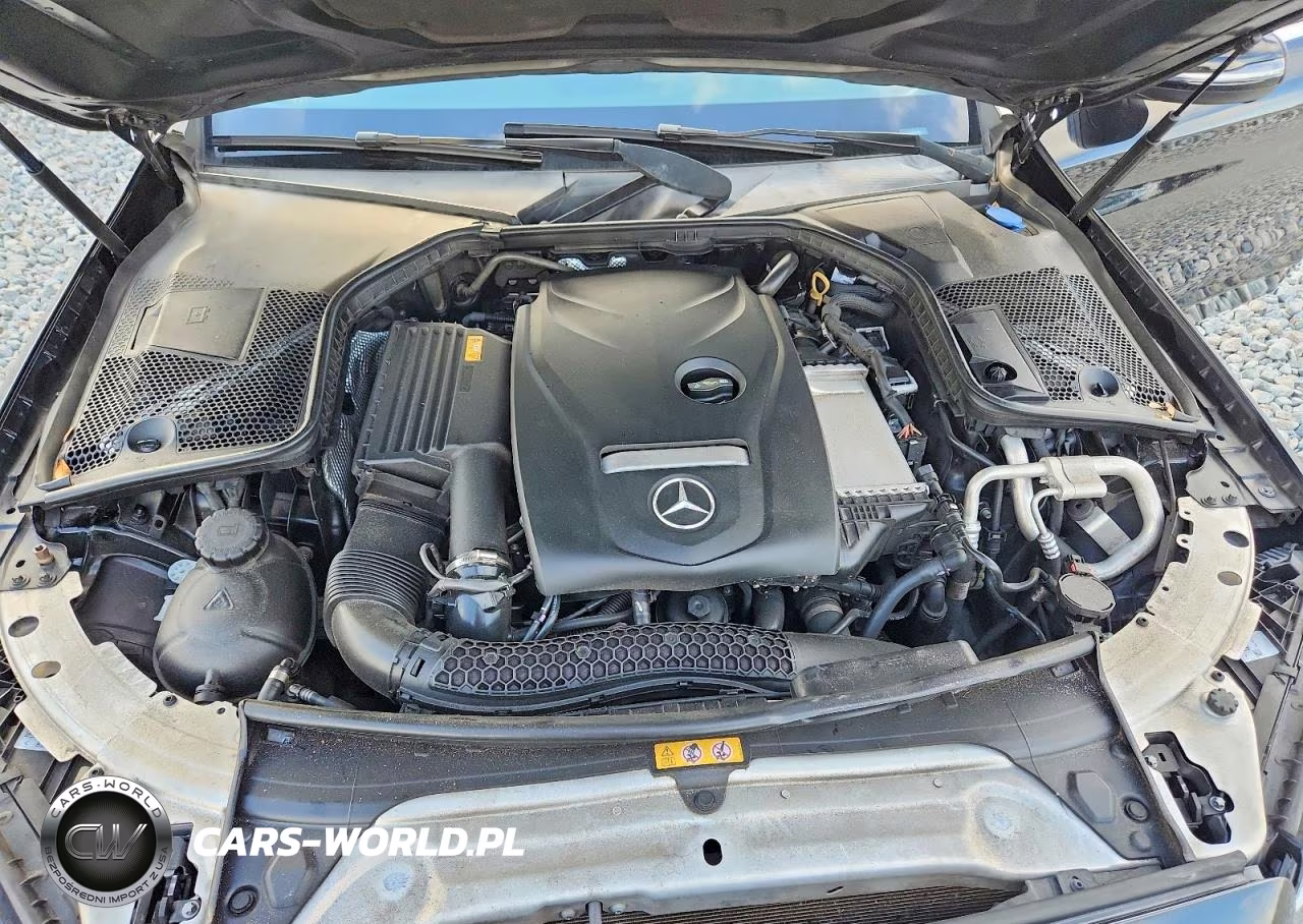 2018 Mercedes-Benz C 300 VIN:55SWF4JB0JU269021 - 11
