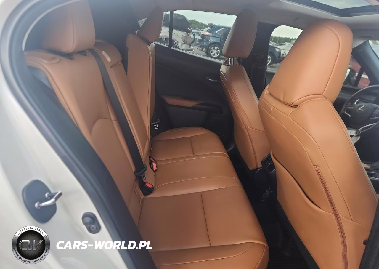 2020 Lexus Ux 250H VIN:JTHP9JBH1L2022402 - 10