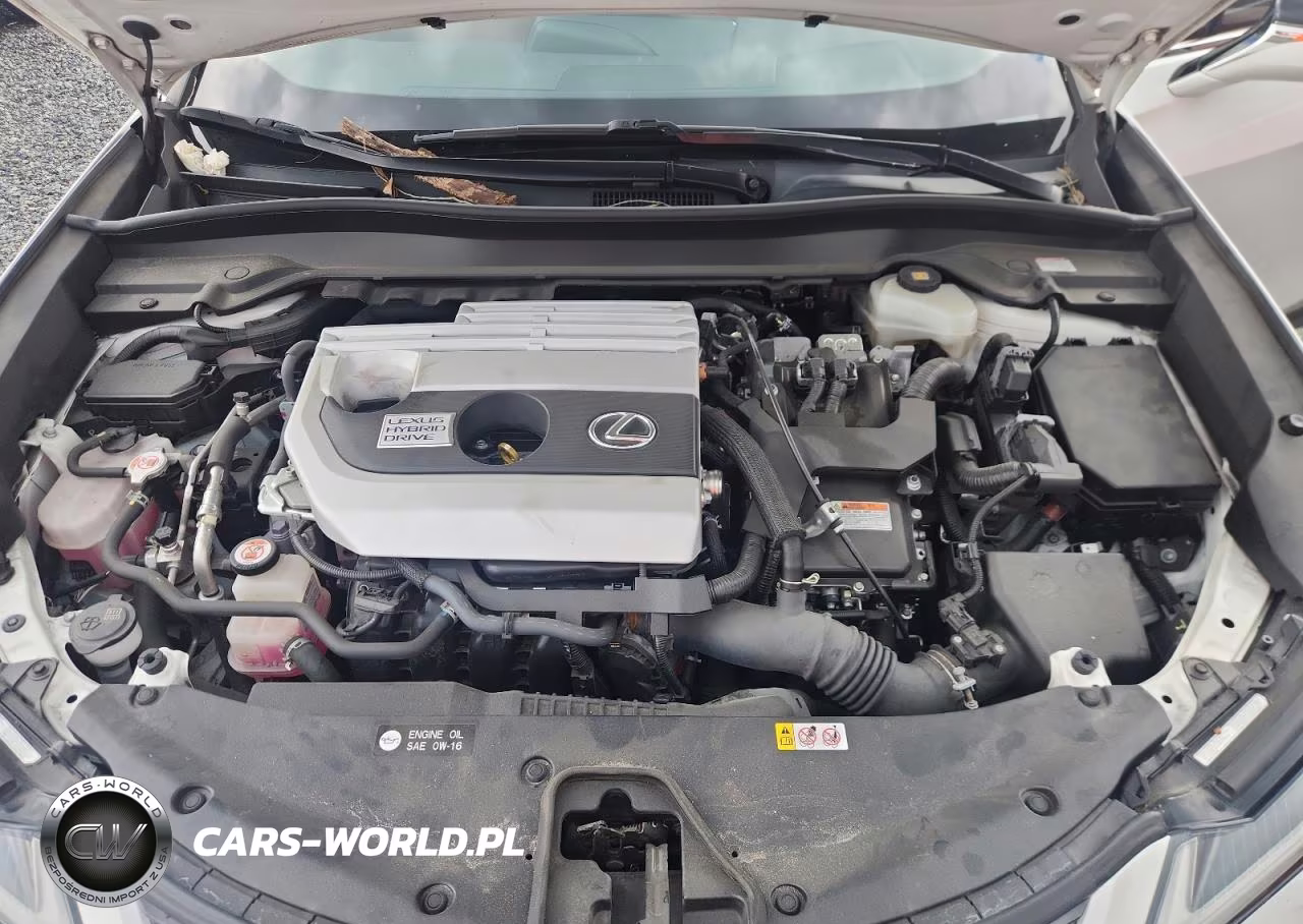 2020 Lexus Ux 250H VIN:JTHP9JBH1L2022402 - 11