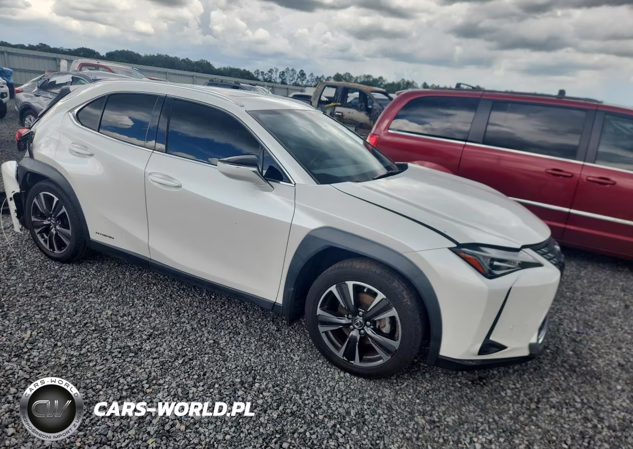2020 Lexus Ux 250H VIN:JTHP9JBH1L2022402 - 4