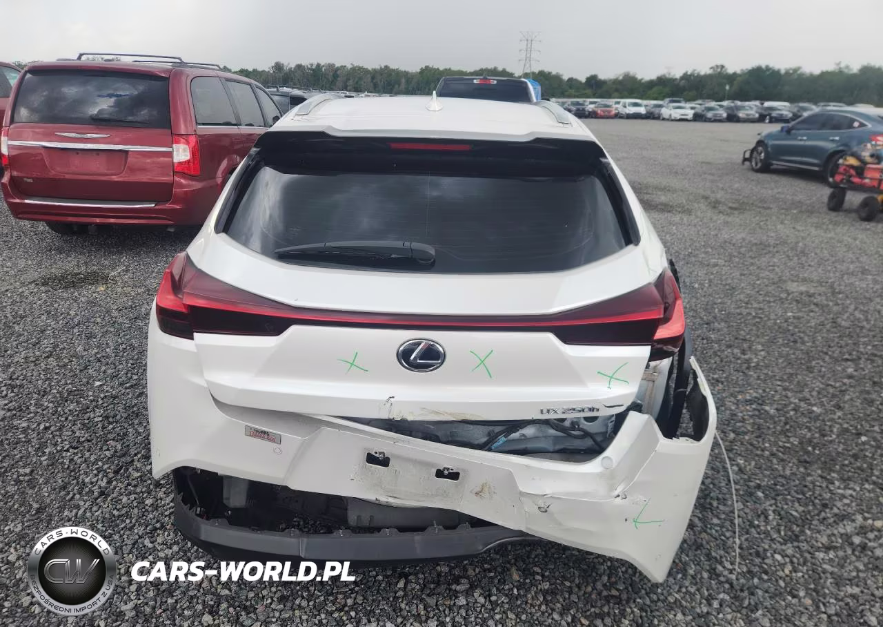 2020 Lexus Ux 250H VIN:JTHP9JBH1L2022402 - 6