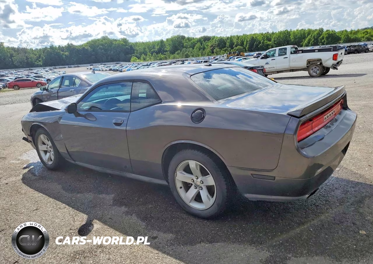 2014 Dodge Challenger R VIN:2C3CDYBT4EH214391 - 2