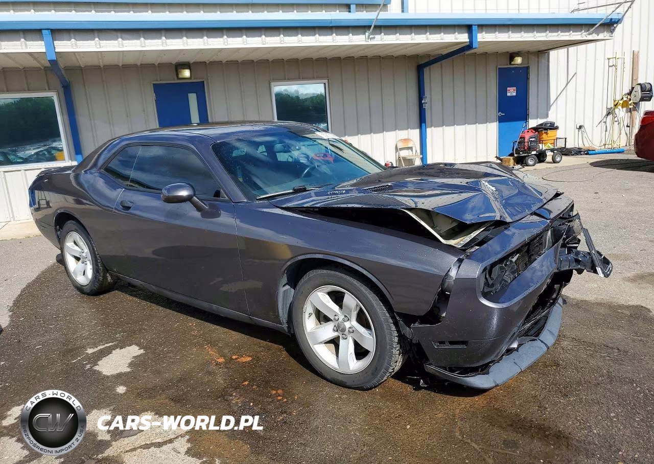 2014 Dodge Challenger R VIN:2C3CDYBT4EH214391 - 4