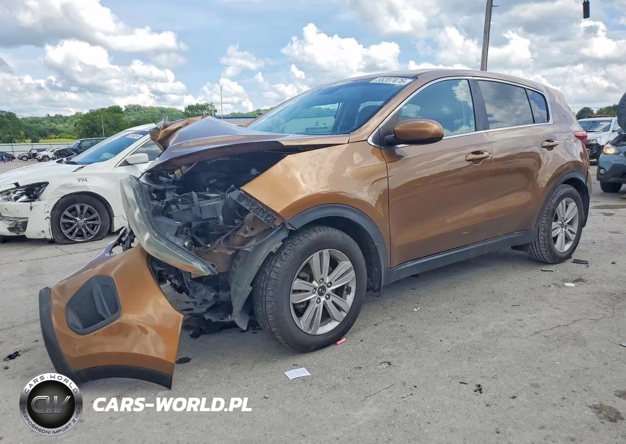 2017 Kia Sportage Lx VIN:KNDPM3AC5H7206186 - 1
