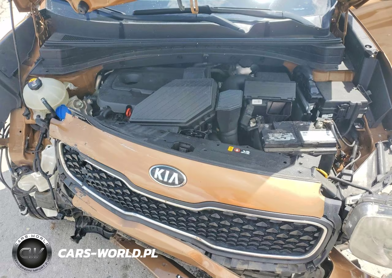 2017 Kia Sportage Lx VIN:KNDPM3AC5H7206186 - 12