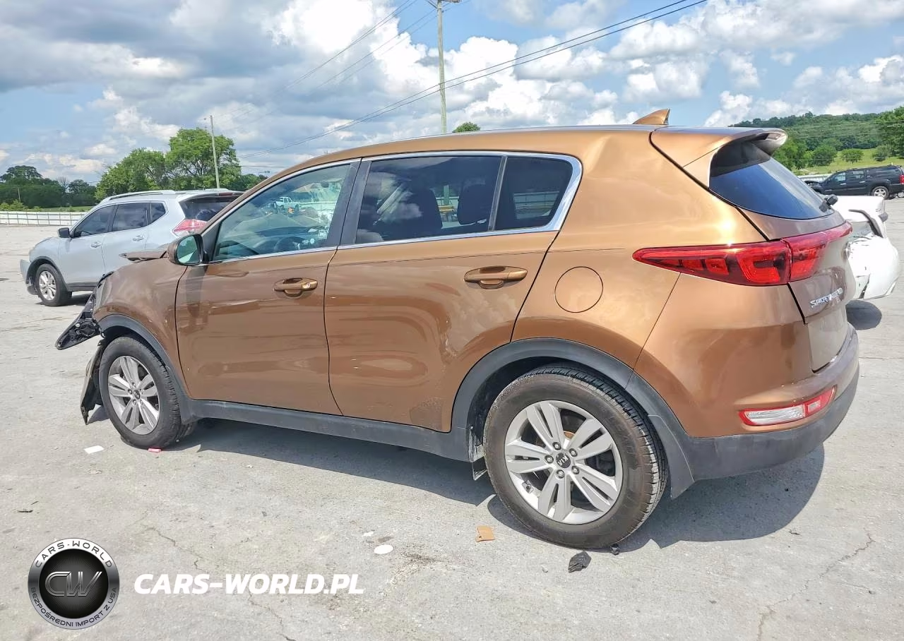 2017 Kia Sportage Lx VIN:KNDPM3AC5H7206186 - 2
