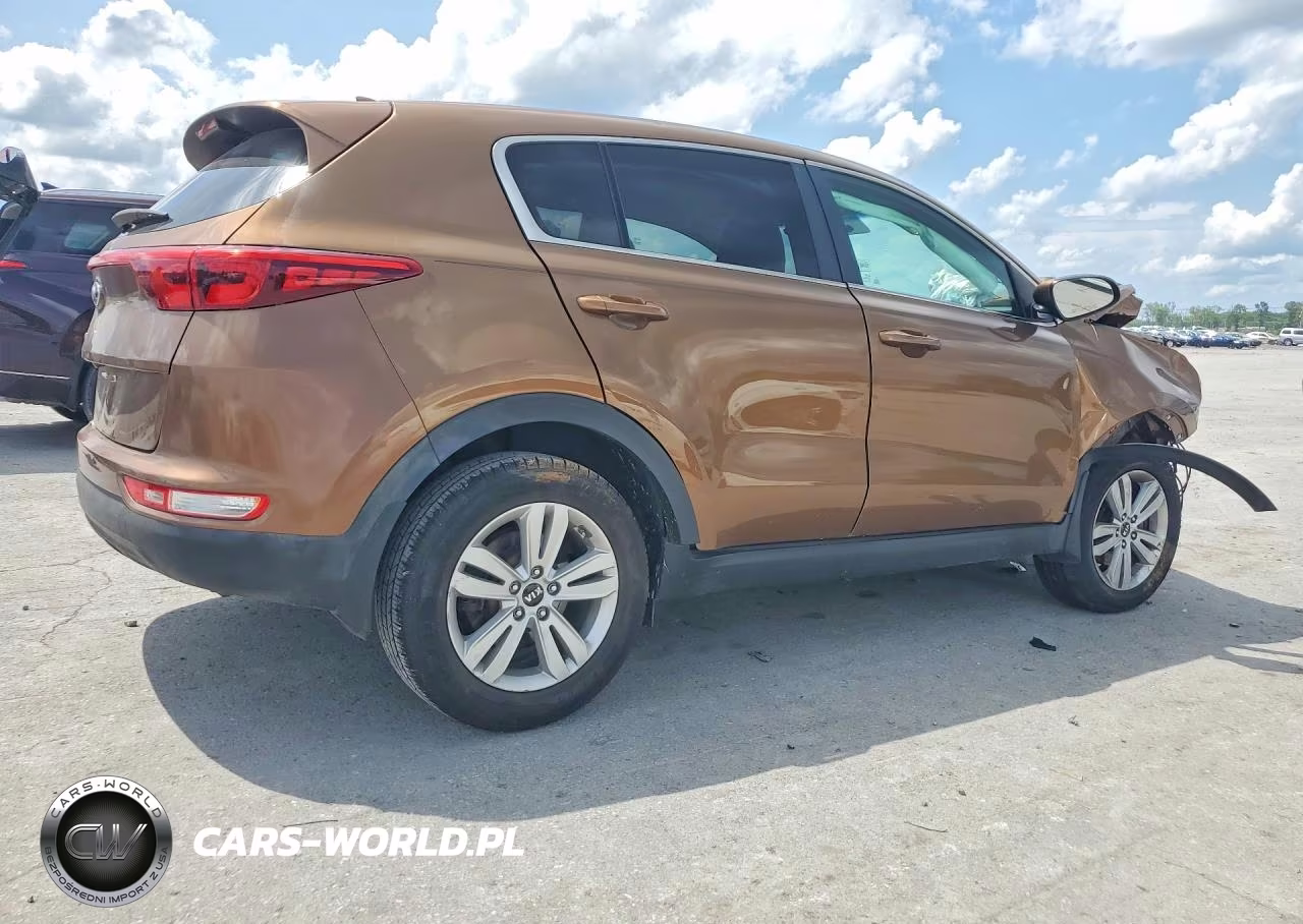 2017 Kia Sportage Lx VIN:KNDPM3AC5H7206186 - 3