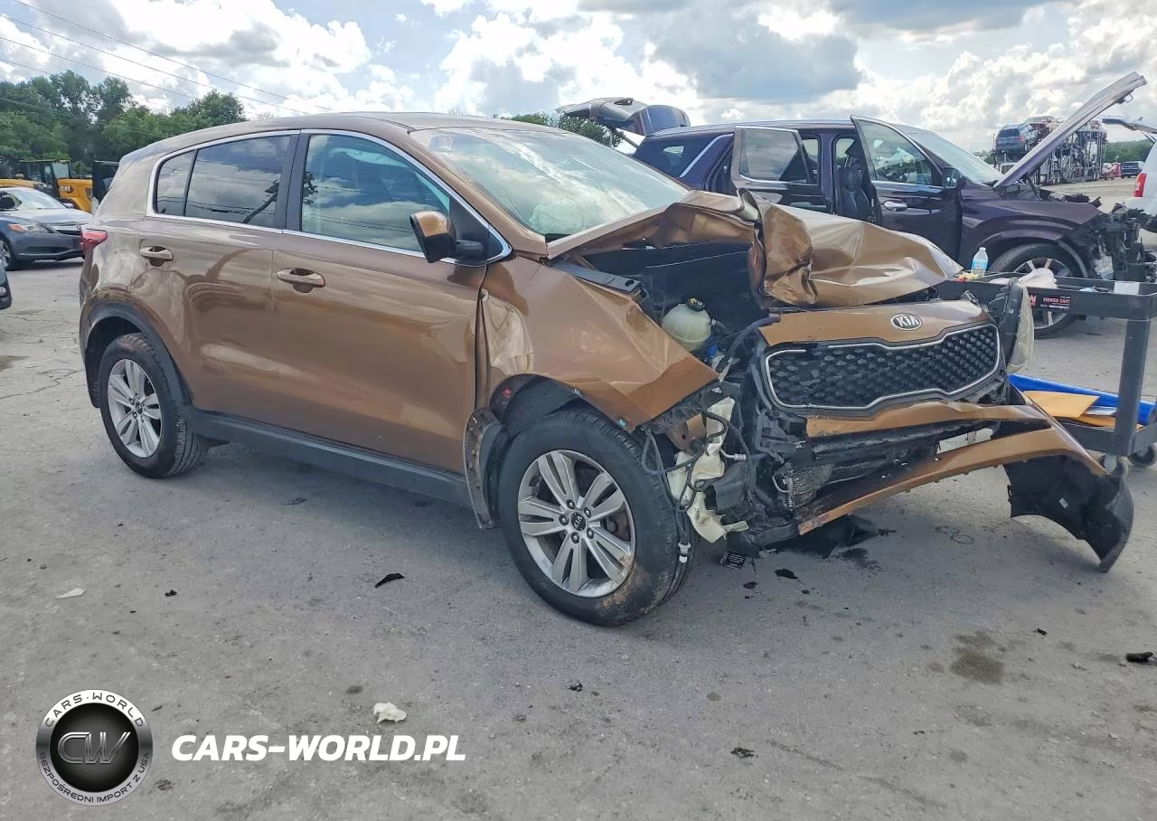 2017 Kia Sportage Lx VIN:KNDPM3AC5H7206186 - 4