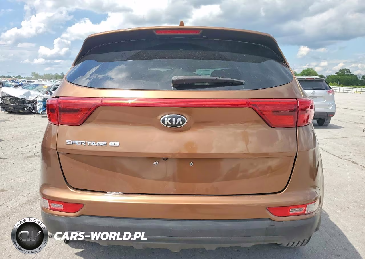 2017 Kia Sportage Lx VIN:KNDPM3AC5H7206186 - 6